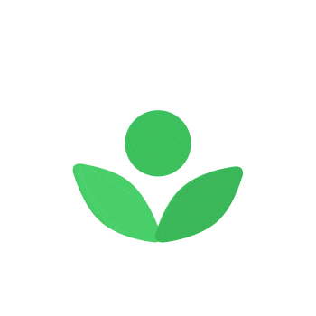 Seed-Leaf-Bloom-GIF-Royalty-Free-Animated-Icon-350px-after-effects-project