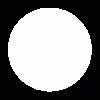 Whatsapp-Logo-Royalty-Free-Animated-Icon-GIF-350px-after-effects-project